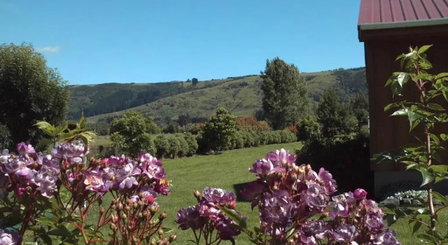 Студия с видом на сад Longbourne Lodge Motel Mosgiel