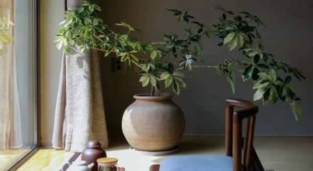 Southern Hill Homestay, Book Hotel Hoteller i Beijing Province med parkering, Parkering