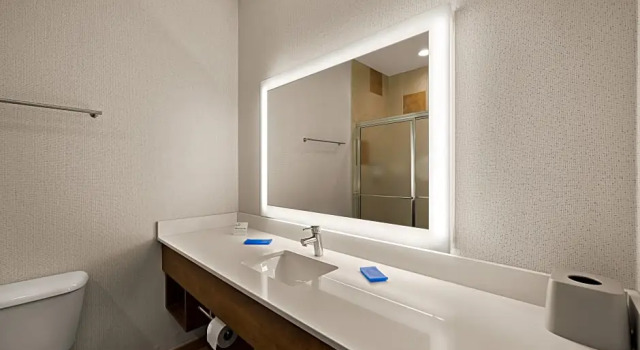 Двухместный люкс Holiday Inn Express Hotel & Suites Limon I-70 by IHG