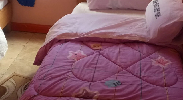 Comfy Night Guest House