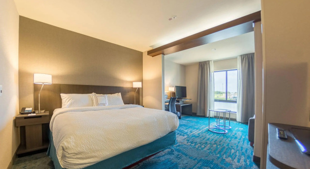 Двухместный люкс Fairfield Inn & Suites by Marriott Des Moines Altoona