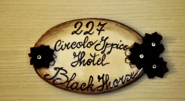Номер Standard Relais Black Horse
