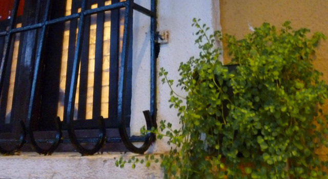 Afonso Guest House