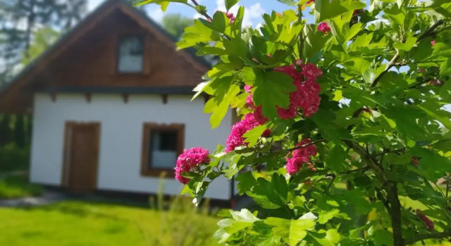 Номер Standard Na Szlaku - domki do wynajęcia