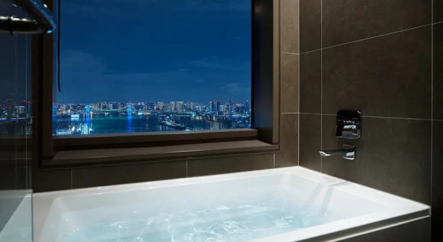 Двухместный номер View Bath Superior Mitsui Garden Hotel Toyosu Premier - Tokyo