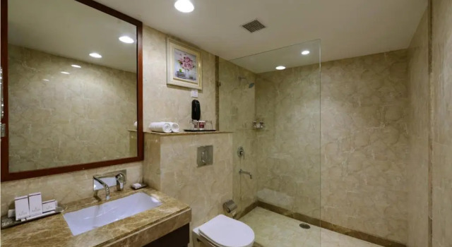 Номер Deluxe Lords Inn Jodhpur