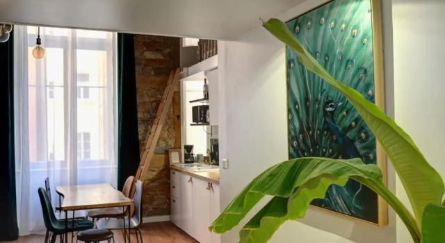 Апартаменты Deluxe La Casa Jungle Bed & SPA - Pentes de la Croix Rousse