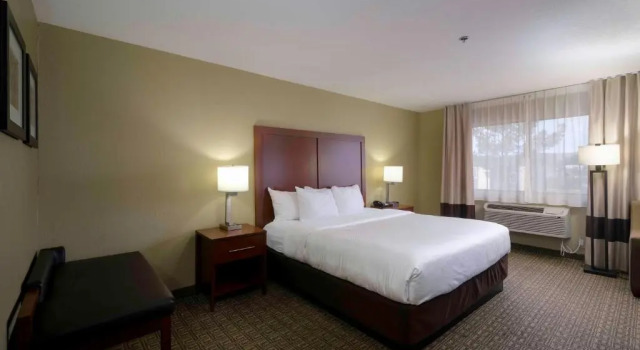 Люкс Comfort Inn Near Gila National Forest