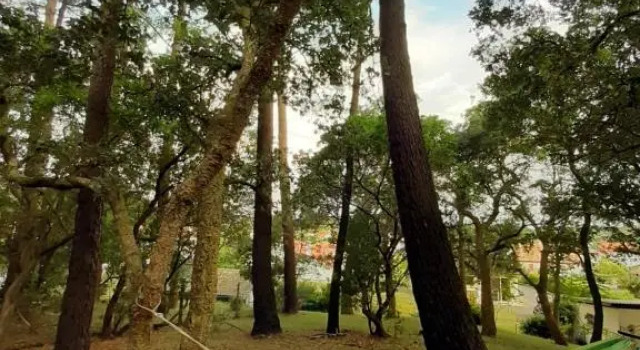 La maison de Maritxu - Entre plage et foret - Landes - Pays Basque