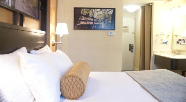 Номер Standard Best Western Queens Gold Coast