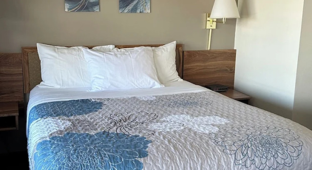 Двухместный номер Standard DownTown Inn