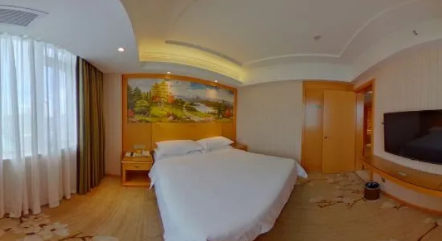 Люкс Superior Vienna Hotel (Shenzhen Henggang Metro Station)