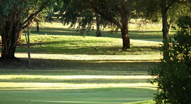 Двухместный номер Deluxe с балконом Cobram Barooga Golf Resort