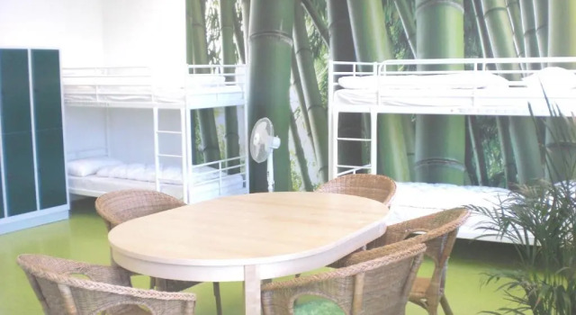 Кровать в общем номере Steffis Hostel Heidelberg