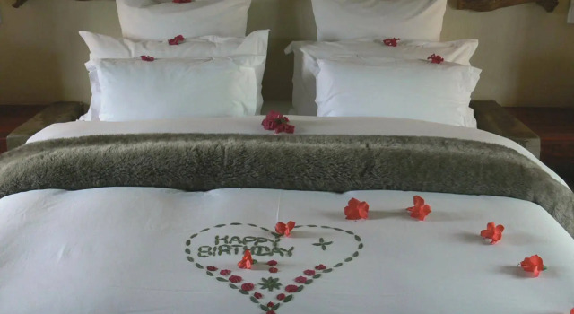 Abloom Bush Lodge and Spa Retreat, Book Ferieresort Cullinan Gauteng
