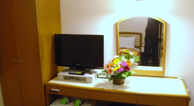 Одноместный номер Business Hotel Nissei