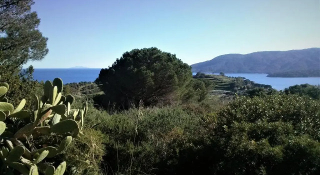 Gavila's Residenza Turistico Alberghiera, Rezervovat Hotel Hotely v Elba s parkováním, Parkování
