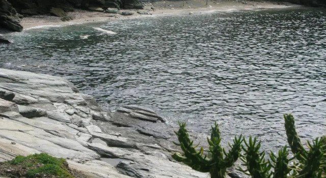 Коттедж Blue Waves View