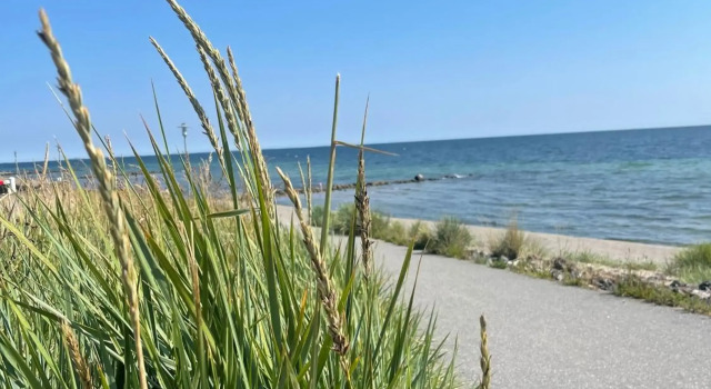 Wellnessapartment Deichgraf Dahme, Забронировать Апартаменты/квартира СПА-отели Даме, рядом с Пляж Даме, SPA-услуги
