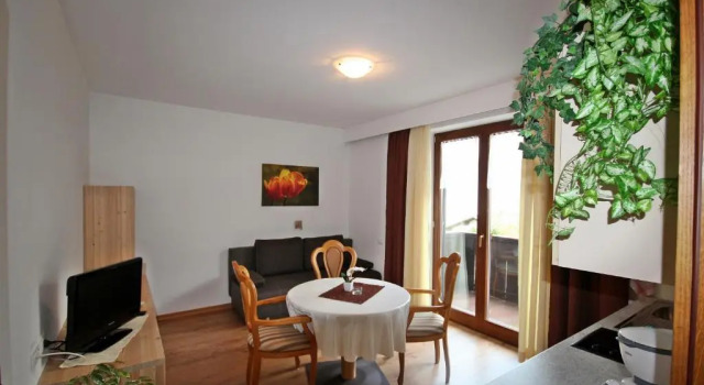 Апартаменты c 1 комнатой Residence Karpoforus
