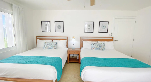 Xeliter Green One Playa Dorada