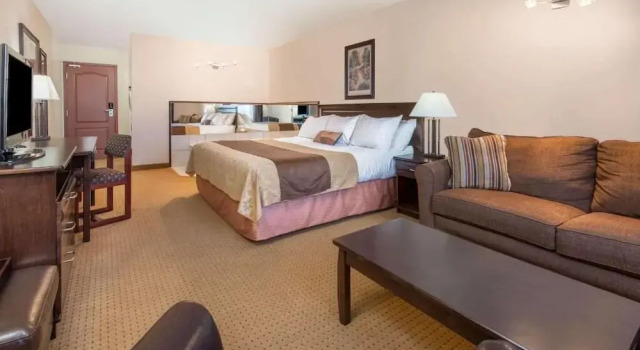 Camera Standard Gold Circle Inn
