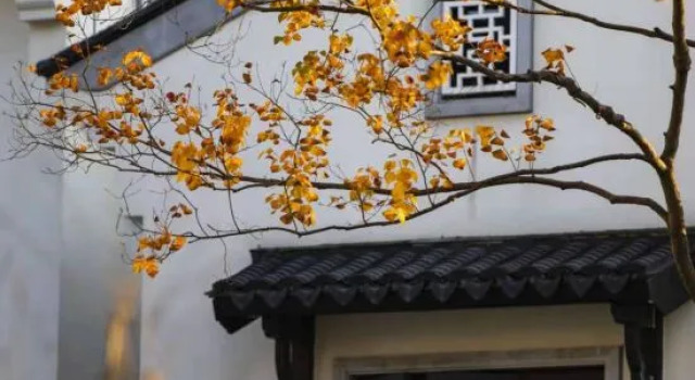 Anji Yitian Yishu Hotel