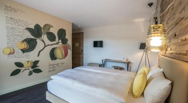 Двухместный номер Comfort Hotel Greuterhof Islikon