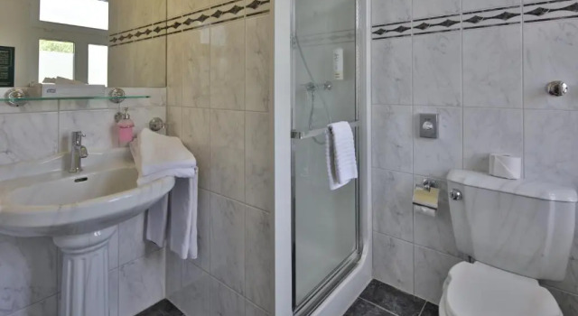 Двухместный номер Standard Hotel Elefant