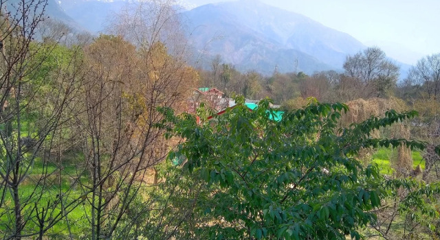 Двухместный номер Standard Highland Village Resort