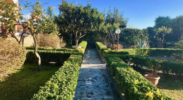 B&B Annetta