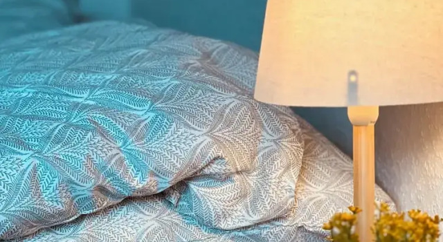Студия Comfort Cozy Flats Silkeborg - 1TH