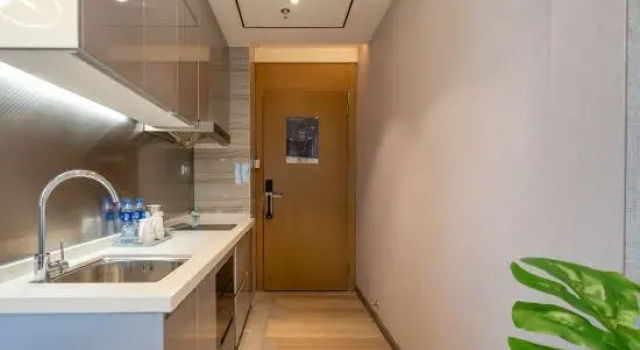 Люкс Deluxe Metoo Jingxuan Apartment