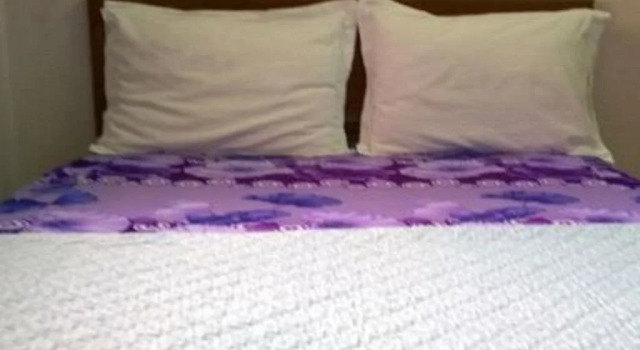 Thanh Hang Guesthouse