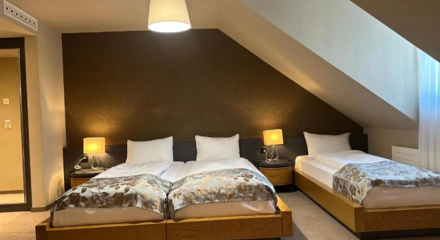Номер Standard Plaza Hotel Winterthur