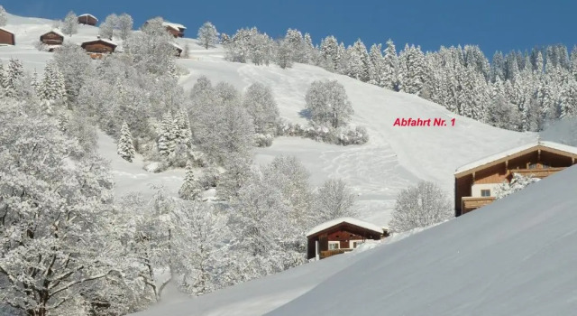 Апартаменты Appartement Laiminger
