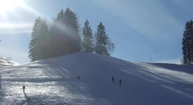 Апартаменты Haus Koenige Hinterzarten