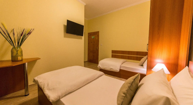 Двухместный номер Standard Hotel Baron