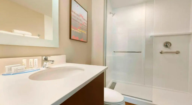 Студия TownePlace Suites Pittsburgh Airport/Robinson Township