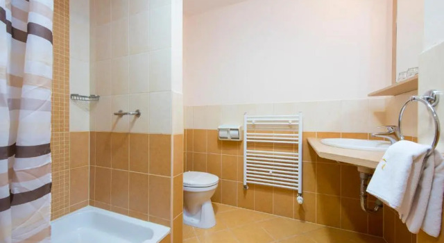 Двухместный номер Standard с видом на бассейн Erzsébet Park Hotel