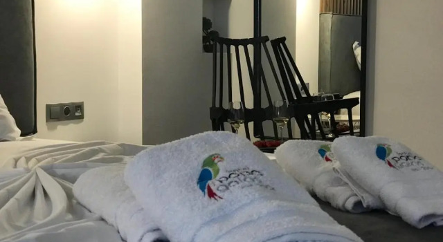 Двухместный номер Deluxe с видом на море Hotel Papagalos