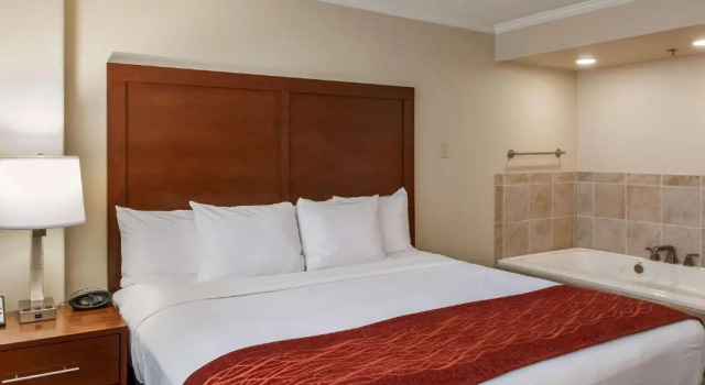 Люкс Comfort Inn & Suites At Copeland Tower