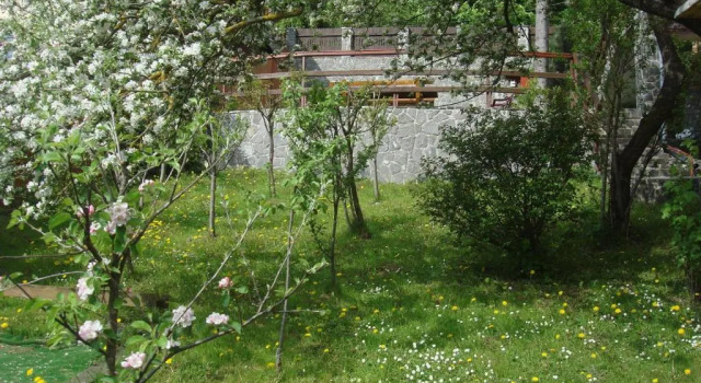 Апартаменты Apartament Ferdinand
