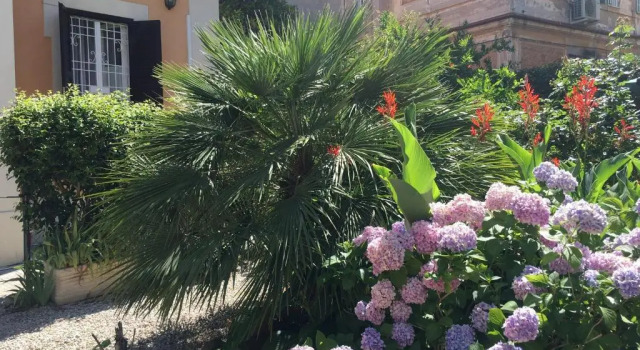Коттедж Gianicolo Pennys Garden a Roma centro