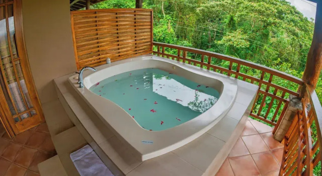 Номер Standard Lost Iguana Resort and Spa