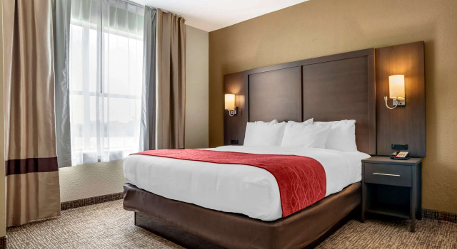 Двухместный люкс Comfort Inn & Suites Millbrook-Prattville