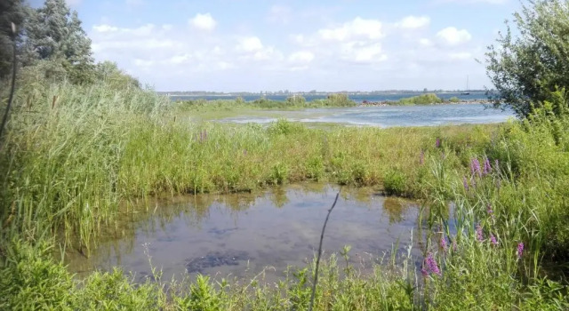 Коттедж Klepperstee Esdoorn 3