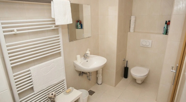 Camera Standard Paw Rooms