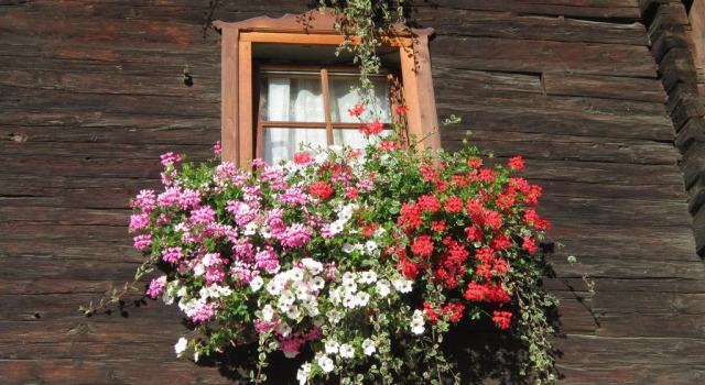 Hansenhof, Rezervovat Hotel Hotely v Tyrolsko s parkováním, Parkování
