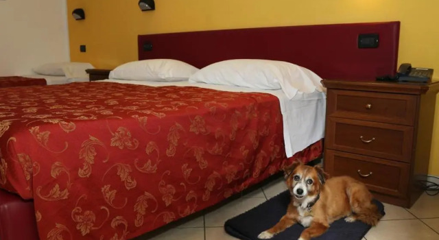 Трёхместный номер Standard Hotel Mantegna Stazione, MantegnaHotels